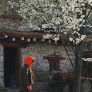 甘孜旅游 缩略图 7