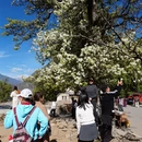 阿坝旅游 缩略图 14