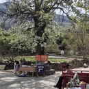 阿坝旅游 缩略图 13