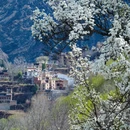 阿坝旅游 缩略图 8