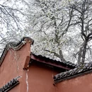德阳旅游 缩略图 17