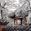 德阳旅游 缩略图 15