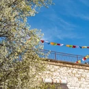 阿坝旅游 缩略图 10