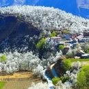 阿坝旅游 缩略图 2