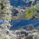 阿坝旅游 缩略图 15