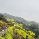 黄山旅游 缩略图 1