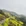 黄山