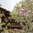 阿坝旅游 缩略图 15