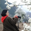 甘孜旅游 缩略图 8