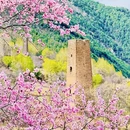 阿坝旅游 缩略图 7