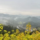 黄山旅游 缩略图 11