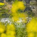 黄山旅游 缩略图 3