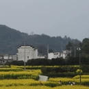 黄山旅游 缩略图 1