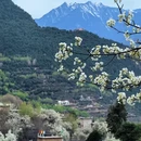 阿坝旅游 缩略图 1