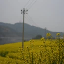 黄山旅游 缩略图 2
