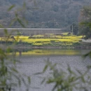 黄山旅游 缩略图 3