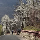 甘孜旅游 缩略图 6