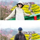 黄山旅游 缩略图 8