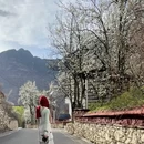 甘孜旅游 缩略图 7