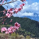阿坝旅游 缩略图 3