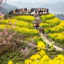 黄山旅游 缩略图 6