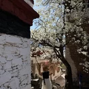 阿坝旅游 缩略图 1