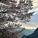 甘孜旅游 缩略图 12