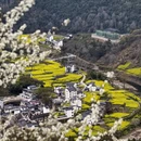 黄山旅游 缩略图 6