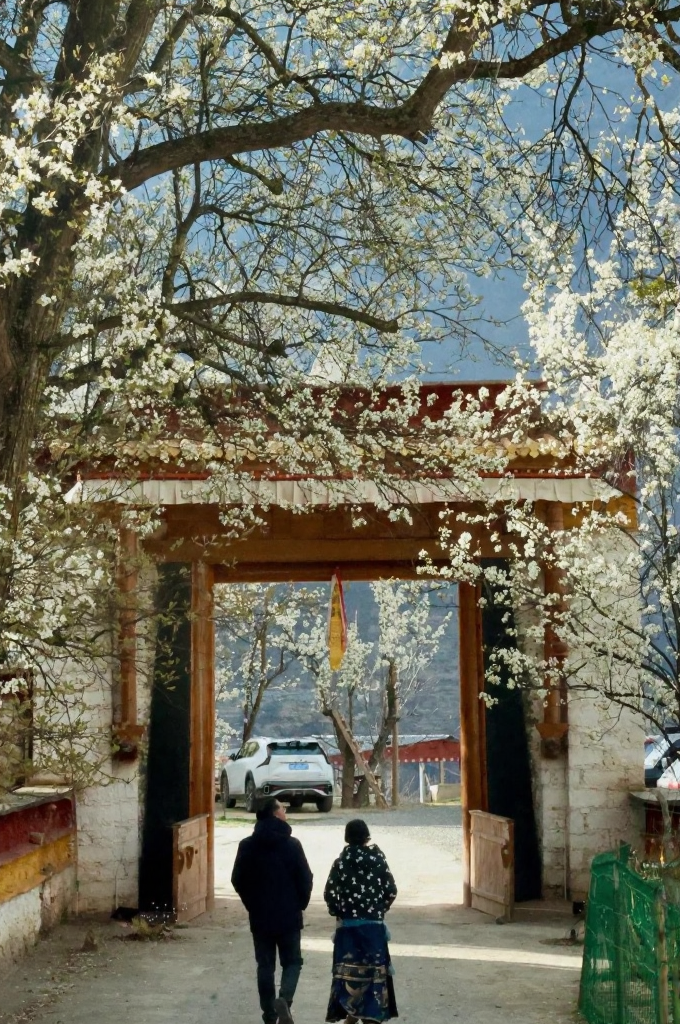 甘孜旅游
