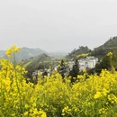 黄山旅游 缩略图 6