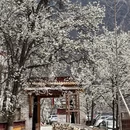 甘孜旅游 缩略图 3