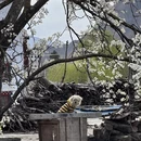 甘孜旅游 缩略图 4