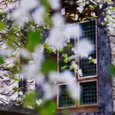 甘孜旅游 缩略图 13