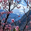 阿坝旅游 缩略图 4