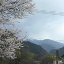 甘孜旅游 缩略图 11