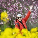 黄山旅游 缩略图 10