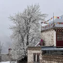 甘孜旅游 缩略图 14