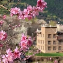 阿坝旅游 缩略图 5