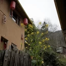 黄山旅游 缩略图 14
