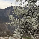 阿坝旅游 缩略图 9