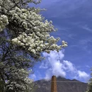阿坝旅游 缩略图 1