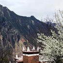 阿坝旅游 缩略图 13