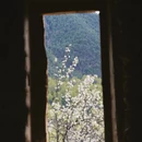 阿坝旅游 缩略图 3