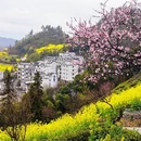 黄山旅游 缩略图 7