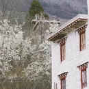阿坝旅游 缩略图 4