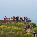 黄山旅游 缩略图 1