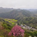 黄山旅游 缩略图 10
