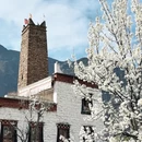 阿坝旅游 缩略图 17