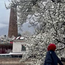 甘孜旅游 缩略图 15