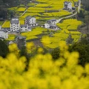 黄山旅游 缩略图 14